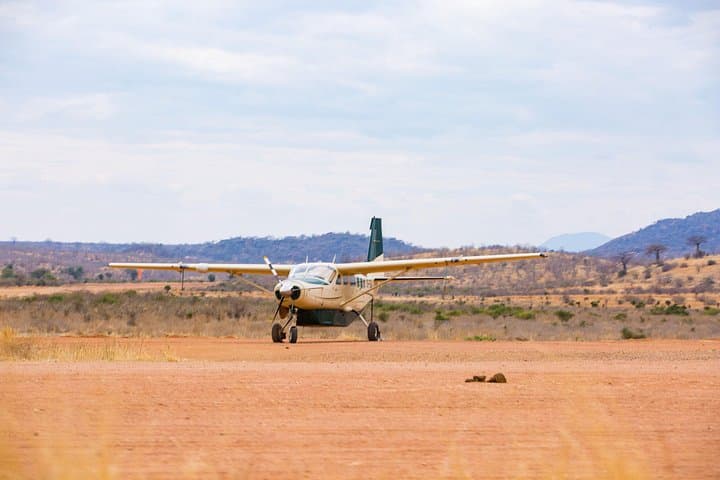 Zanzibar to Mikumi: One-Day Flight Safari into Tanzania’s Savannah photo 3