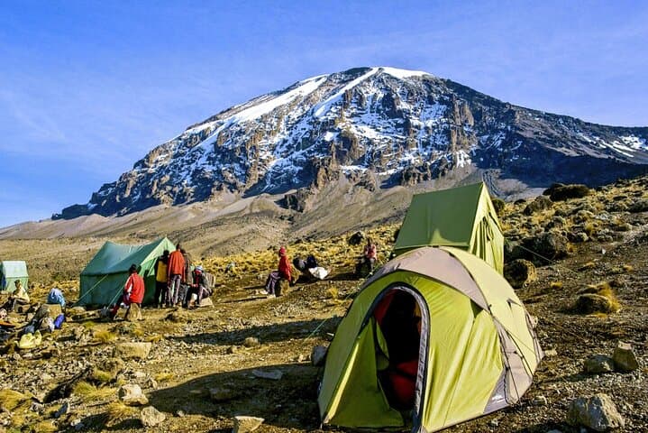 8-Day Lemosho Route Kilimanjaro Trek: Itinerary, Acclimatization & Summit Strategy photo 5