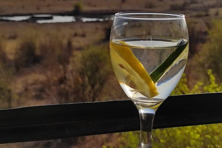 Vintage Safari Game Drive in Zambezi National Park — Gin & Amarula Break on a 3‑Hour Game Drive photo 3