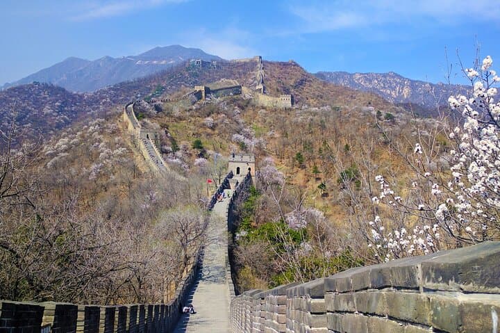 18-Day Classic China Tour — Beijing to Shanghai via Xi'an, Chengdu & Zhangjiajie photo 5