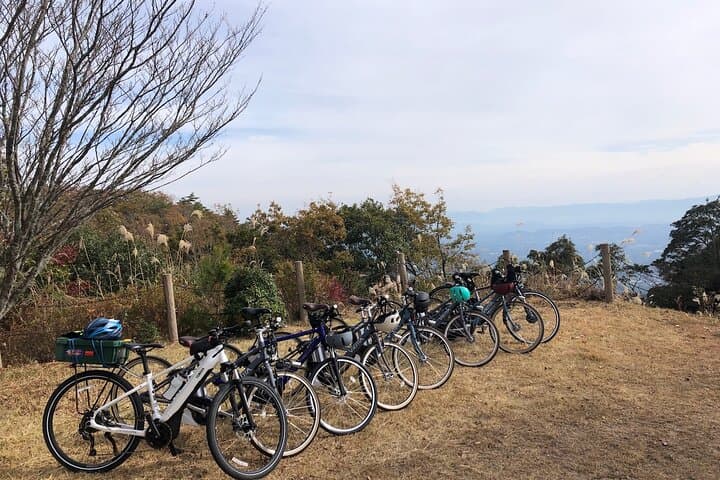 Guided E-Bike Tours in Bungo-Ono: Jinkakuji Gorge & Asaji Temple