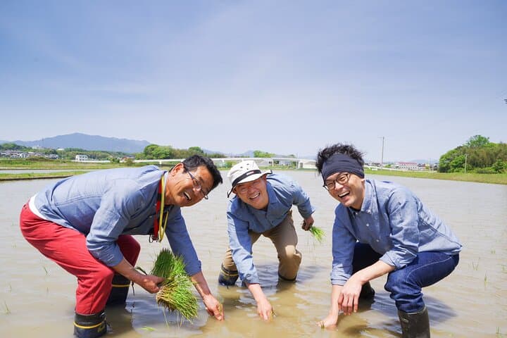 Private Rice Farming Experience at Tsu Tarafuku Farm — Onigiri & Organic Rice Immersion photo 1