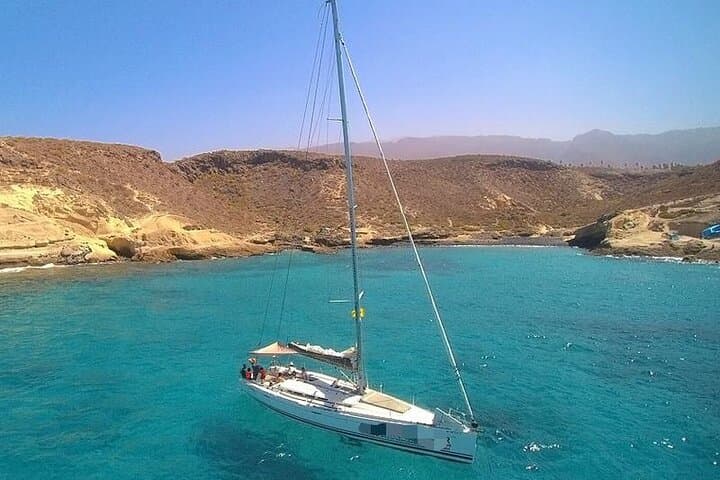 Luxury 3-Hour Catamaran Whale and Dolphin Charter in Tenerife