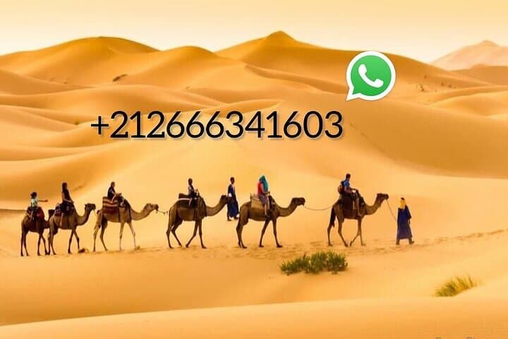 Overnight Camel Trek to Erg Lihoudi from Mhamid — Sahara Camp & Sunrise