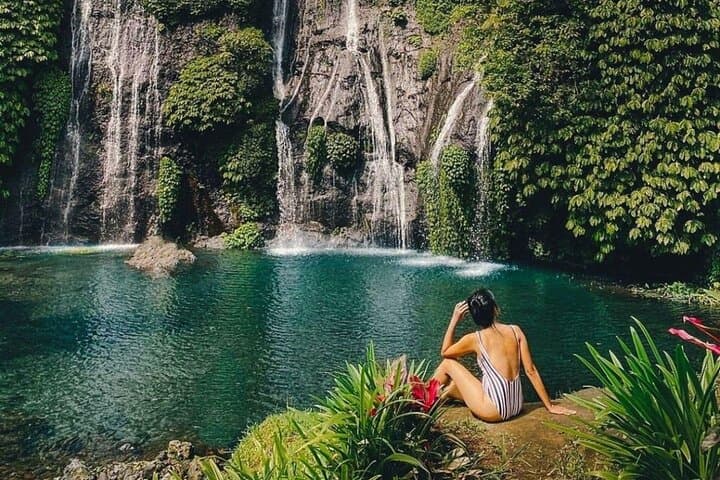 North Bali Waterfall, Handara Gate & Ulun Danu Bratan Private Tour photo 5