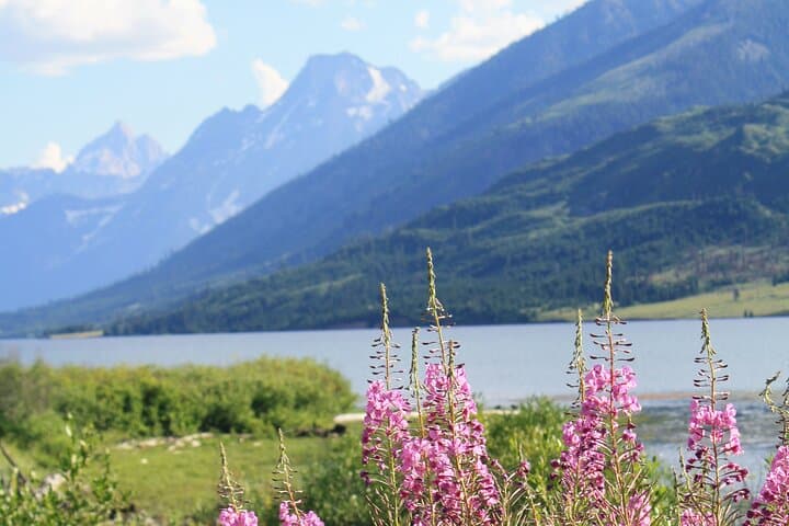 Grand Teton Full-Day Small-Group Tour & Hike — Mormon Row, Oxbow Bend & Signal Mountain photo 4