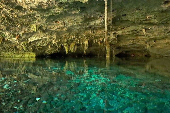 Explore Three Cenotes Near Playa del Carmen: Yum-Ha, Luna & Sombra photo 6