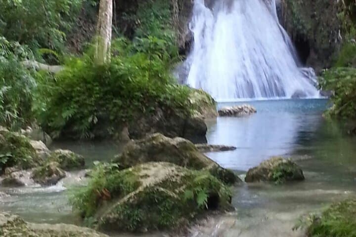 Blue Hole & Dunn's River Falls Day Trip from Falmouth, Jamaica photo 6