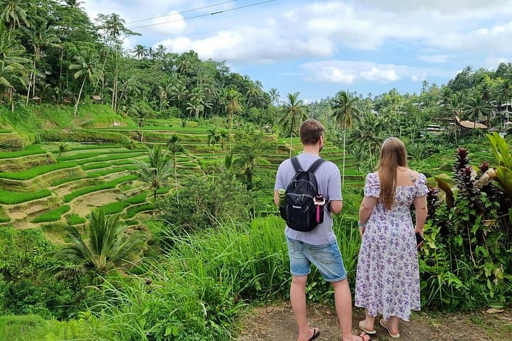 Private Customizable Bali Day Tour with Driver-Guide — Ubud Pickup Included photo 2