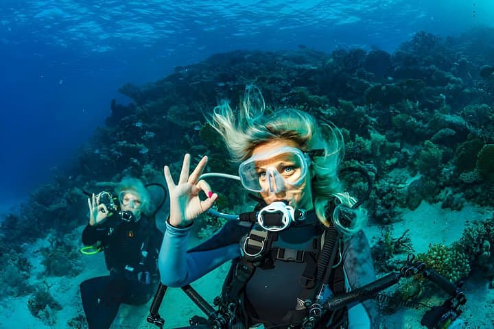 3-Day PADI Open Water Course in Sharm El Sheikh — Ras Mohammed Boat Dives photo 2