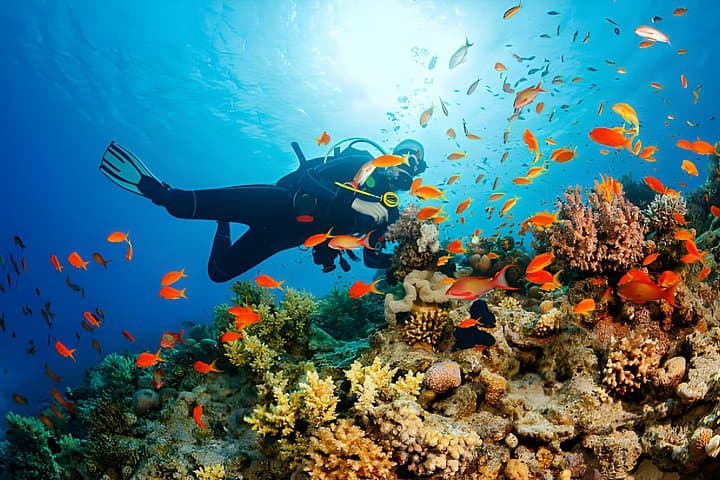3-Day PADI Open Water Course in Sharm El Sheikh — Ras Mohammed Boat Dives photo 3
