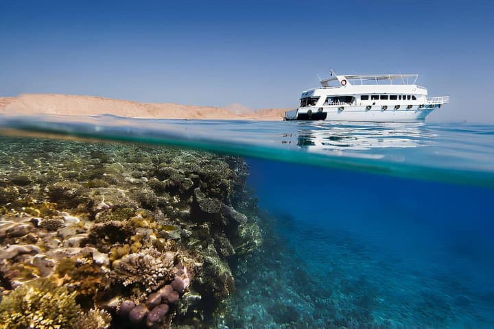3-Day PADI Open Water Course in Sharm El Sheikh — Ras Mohammed Boat Dives photo 4