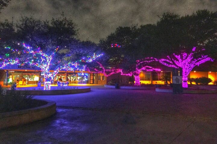Magical Houston Holiday: Enchanting Christmas Private Tour photo 5