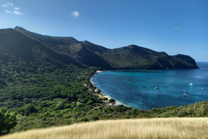Guided Hike from Chatham Bay to Mt. Taboi — Union Island Dry-Forest Trek photo 3