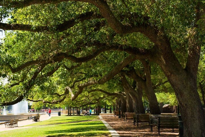 Romantic Private Walking Tour in Houston: Discovery Green, Cistern & Sabine Bridge photo 4