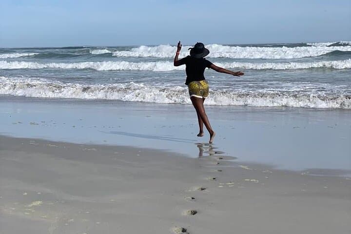 Cape Peninsula Full-Day: Cape Point, Boulders Penguin Beach & Chapman's Peak Drive photo 6