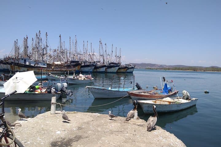 Seafood Secrets Tour Mazatlán: Local Marisquerias & Shrimp Tastings photo 4
