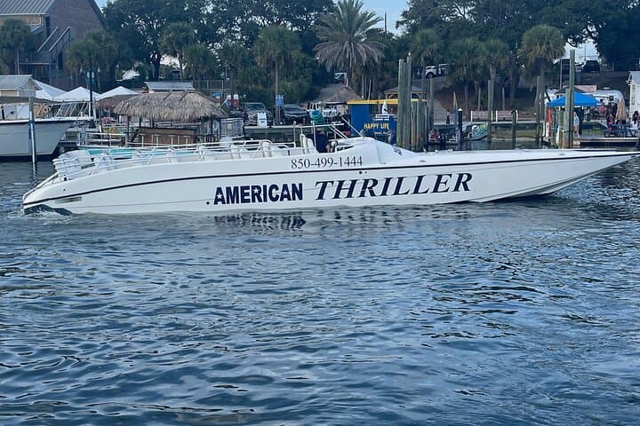 Thriller Sunset Dolphin Cruise Destin Harbor: High-Speed Dolphin & Sunset Tour photo 3