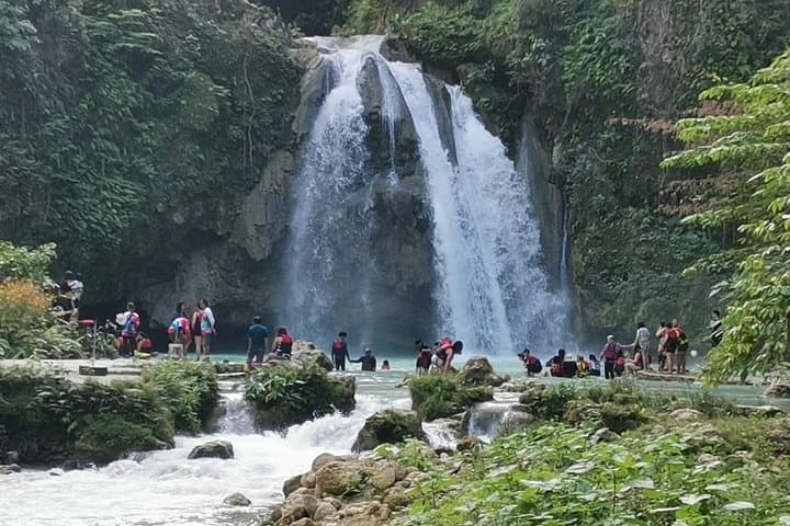 Oslob Whale Sharks and Kawasan Falls: Full-Day Snorkel & Waterfall Trip from Cebu