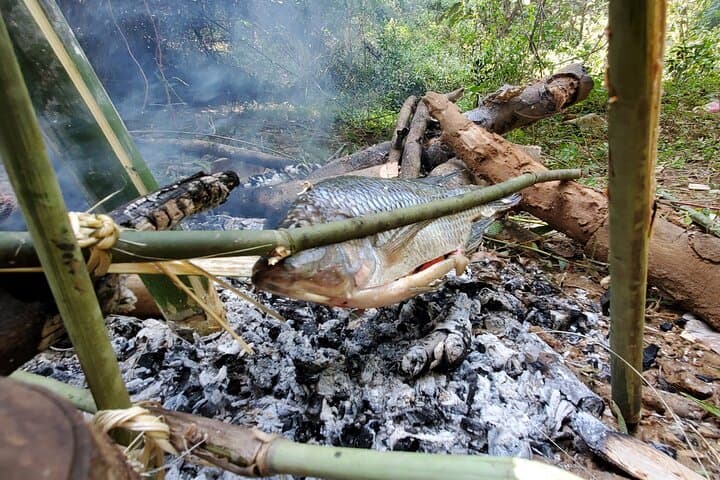Overnight Camping & Wild Cooking in Luang Prabang's Primary Forest photo 2