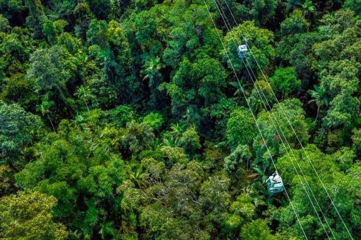 Cairns Waterfalls, Wetlands & Skyrail: Small-Group All-Inclusive Day Trip photo 3