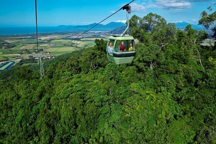 Cairns Waterfalls, Wetlands & Skyrail: Small-Group All-Inclusive Day Trip photo 2