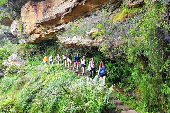 Blue Mountains Day Trip from Sydney: Waterfall Walk, Three Sisters & Local Lunch