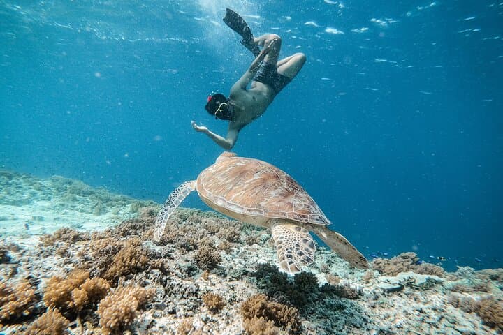 Gili Islands Snorkeling Tour — Swim with Turtles & Underwater Statues photo 2