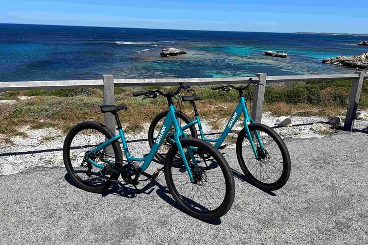 Rottnest Bike & Ferry Day Trip from Perth — Cycle 63 Beaches photo 3