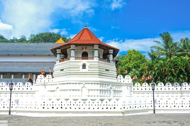 3-Day Sri Lanka Highlights Tour — Sigiriya, Kandy & Nuwara Eliya photo 2