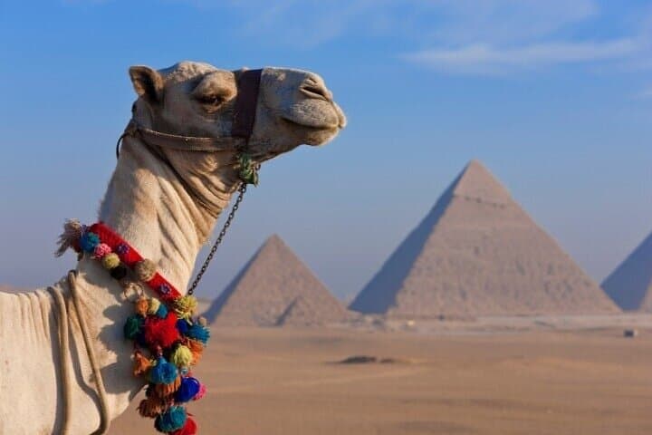 Private Cairo Tour — Pyramids, Sphinx, Egyptian Museum & Khan el-Khalili photo 2