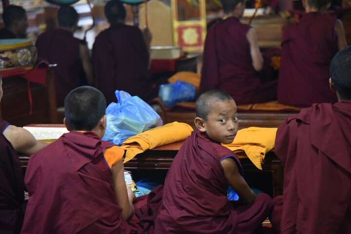 Nepal Easy Landing Package: Kathmandu Airport Pickup and 2-Night Starter Stay photo 5