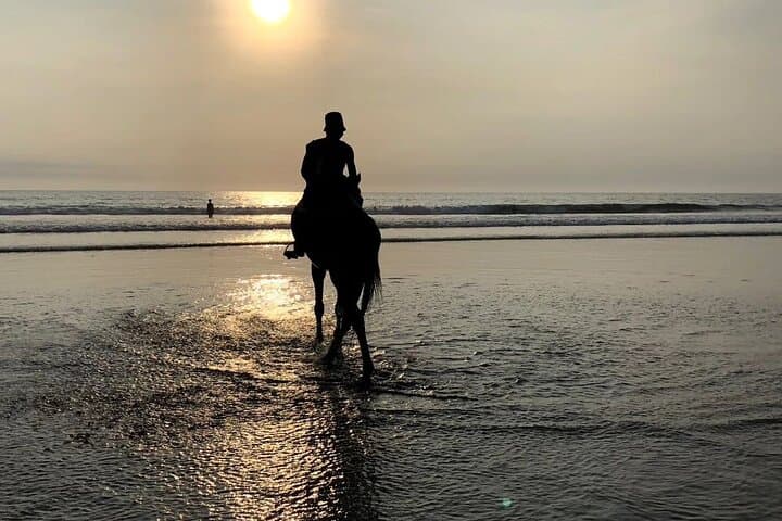 Seminyak Beach Horseback Ride: Sunset Canter on Bali’s Shore photo 6