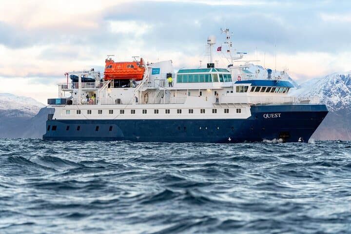 24-Hour Northern Lights and Whale Watching Cruise from Tromsø