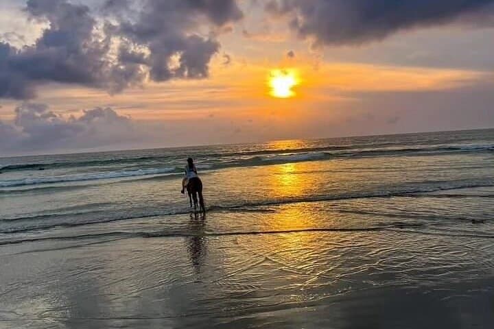 Seminyak Beach Horseback Ride: Sunset Canter on Bali’s Shore photo 2