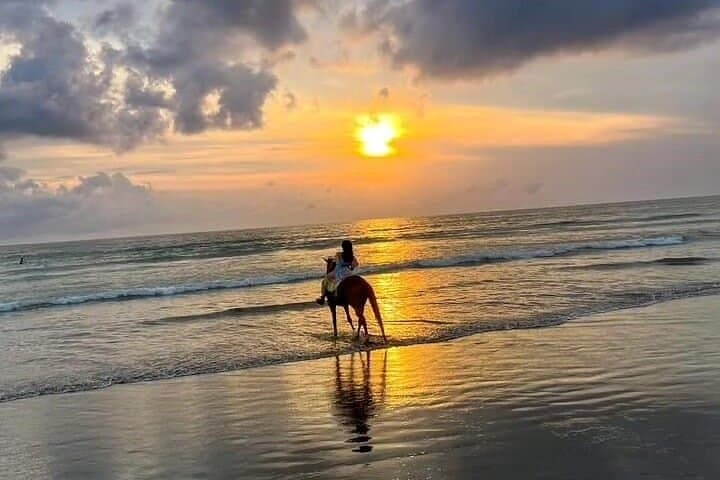 Seminyak Beach Horseback Ride: Sunset Canter on Bali’s Shore photo 5
