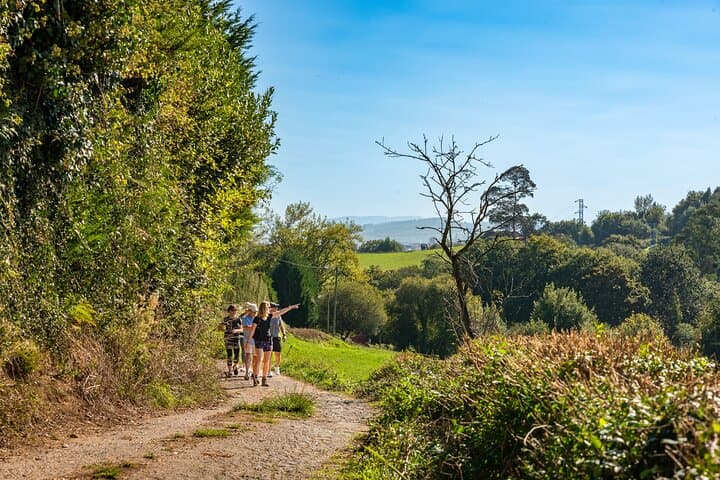 Taste of the Camino de Santiago: 12 km Camino Primitivo Walk from Oviedo