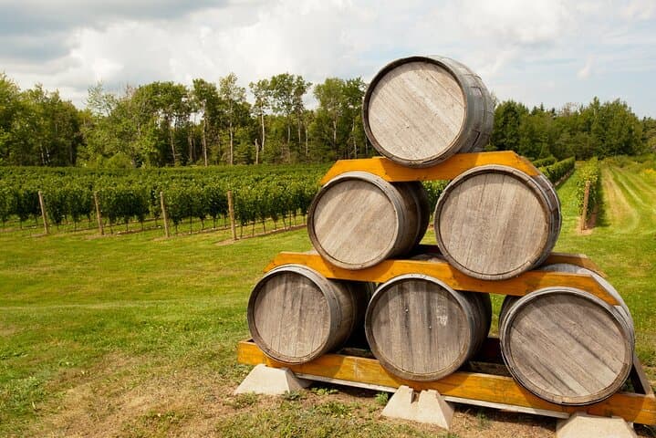 Private Annapolis Valley Wine Tour from Halifax: Lightfoot & Wolfville + Luckett Tastings
