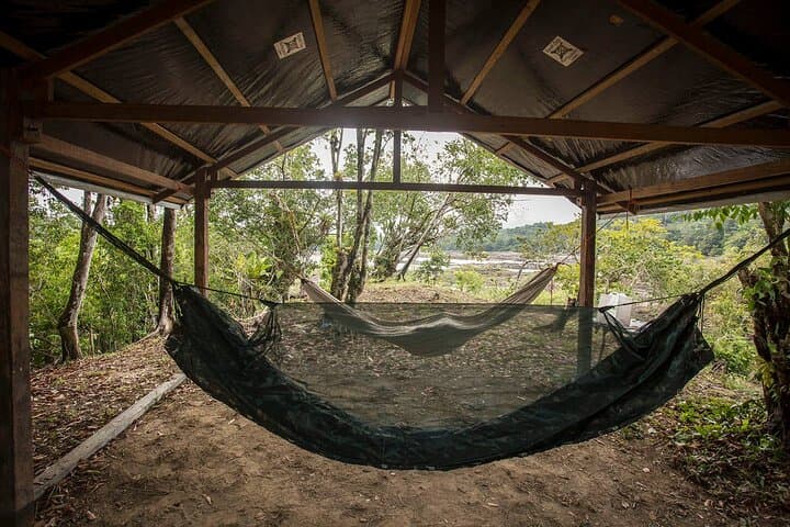 Overnight Camping & Wild Cooking in Luang Prabang's Primary Forest photo 4