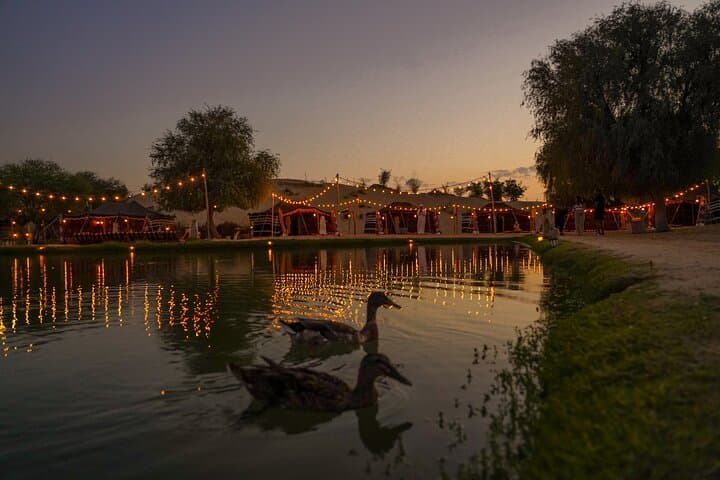 Evening Heritage Desert Safari in Al Marmoom — Vintage G‑Class, Bedouin Village & Stargazing photo 3