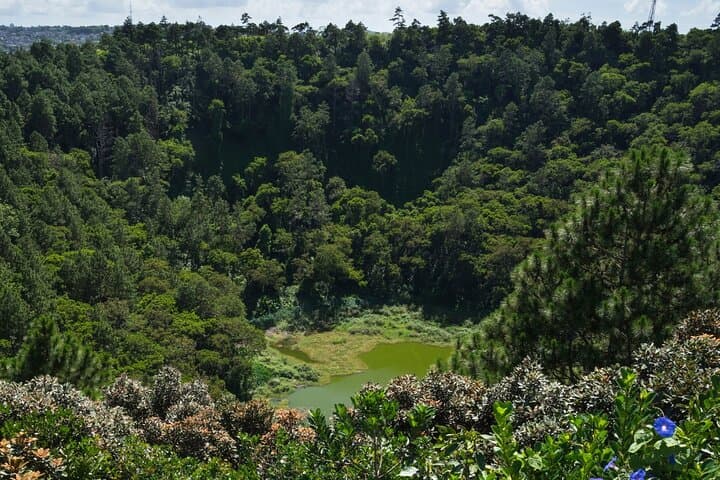 Tea Route Private Full-Day Tour in Mauritius: Bois Chéri, Trou aux Cerfs & Tamarind Falls photo 4