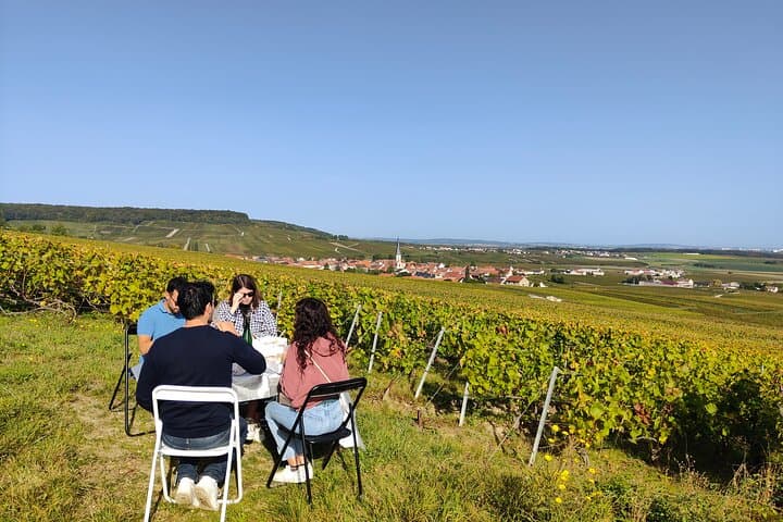 Montagne de Reims champagne tasting and panoramic vineyard walk photo 6
