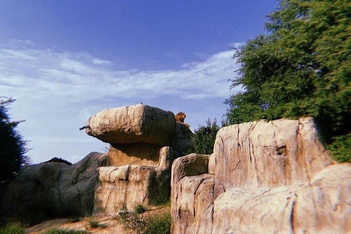 Dubai Safari Park: Full-Day Wildlife Experience with Hotel Transfer
