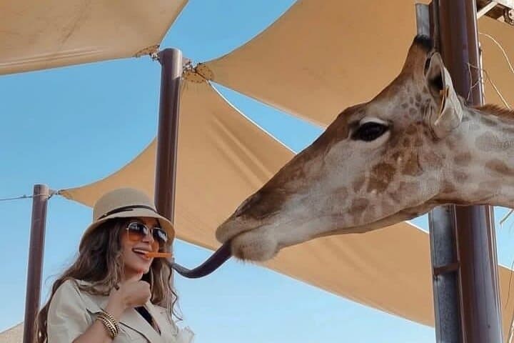 Dubai Safari Park: Full-Day Wildlife Experience with Hotel Transfer photo 6
