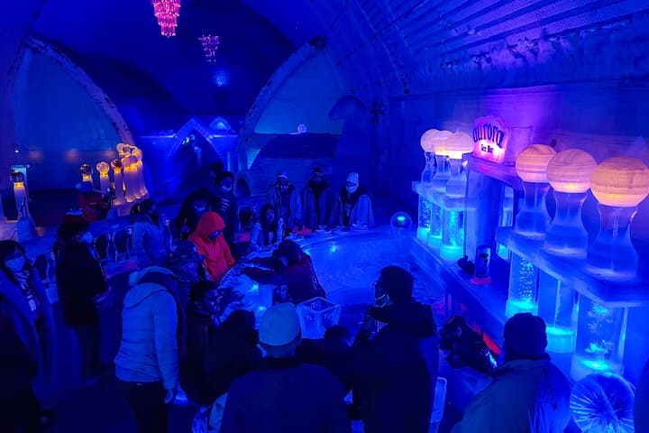 Chena Hot Springs Aurora Dream: Mineral Baths, Ice Museum & Northern Lights photo 4