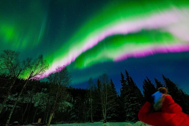 Chena Hot Springs Aurora Dream: Mineral Baths, Ice Museum & Northern Lights photo 3