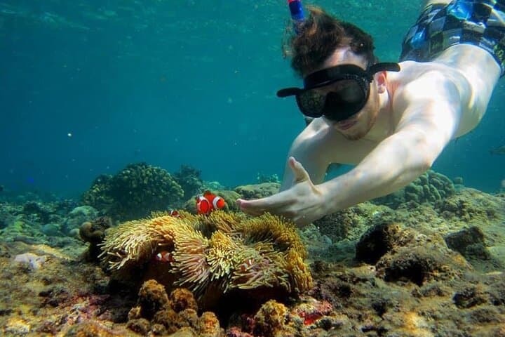 Blue Lagoon Private Snorkel: East Bali Reefs & Turtle Encounters photo 4