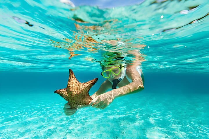 Dahab Three Pools Day Trip: Snorkel, ATV & Camel Ride from Sharm El Sheikh photo 3