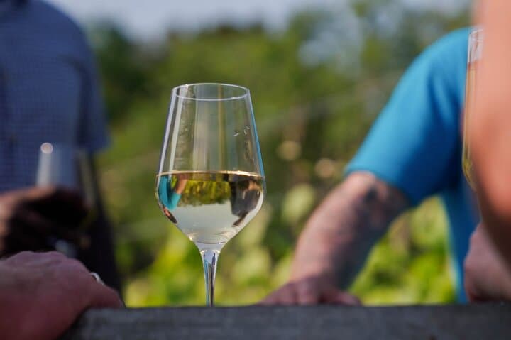 Jersey Premium Vineyard & Distillery Tour at La Mare Wine Estate
