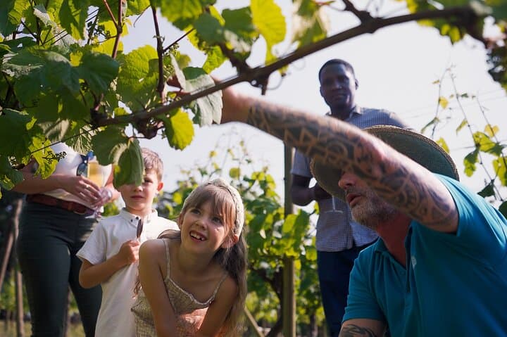 Jersey Premium Vineyard & Distillery Tour at La Mare Wine Estate photo 6